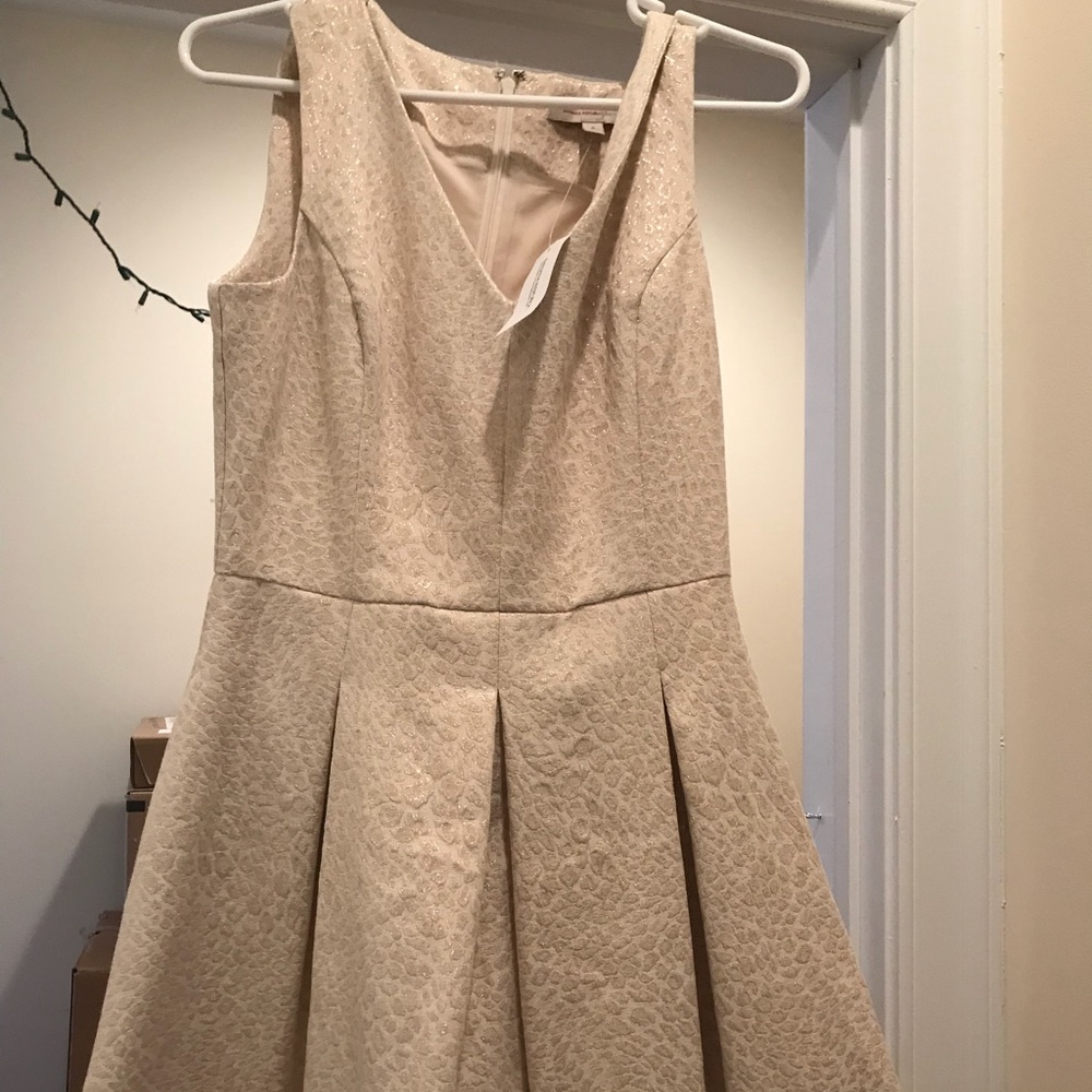 Fit and flare dress